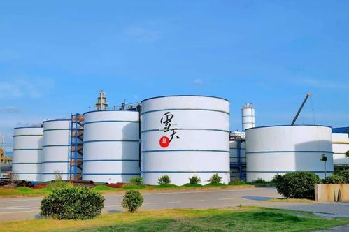 湖南鹽業(yè)集團(tuán)數(shù)智化賦能傳統(tǒng)產(chǎn)業(yè)高質(zhì)量發(fā)展